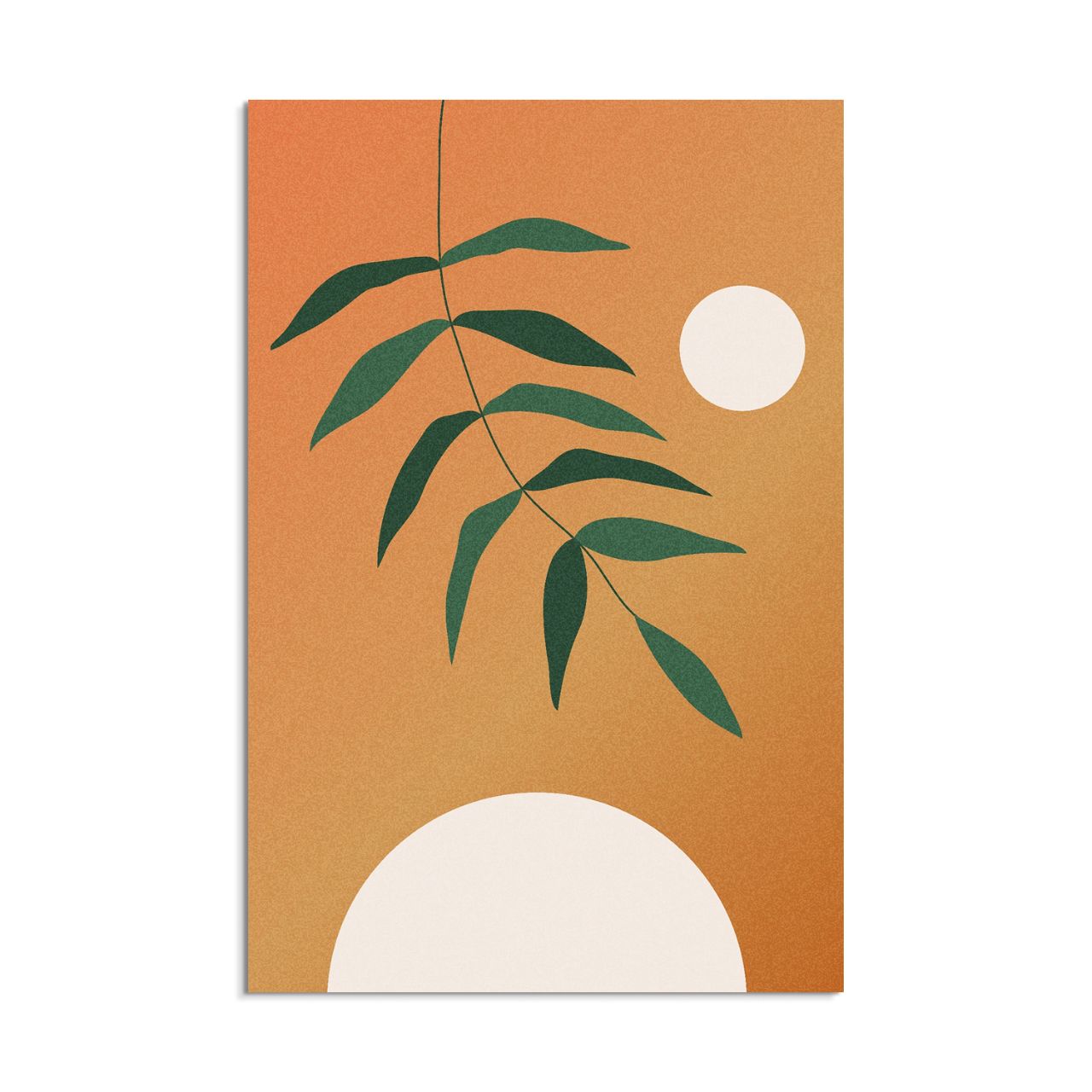 Minimalist Gradient Plant - 2