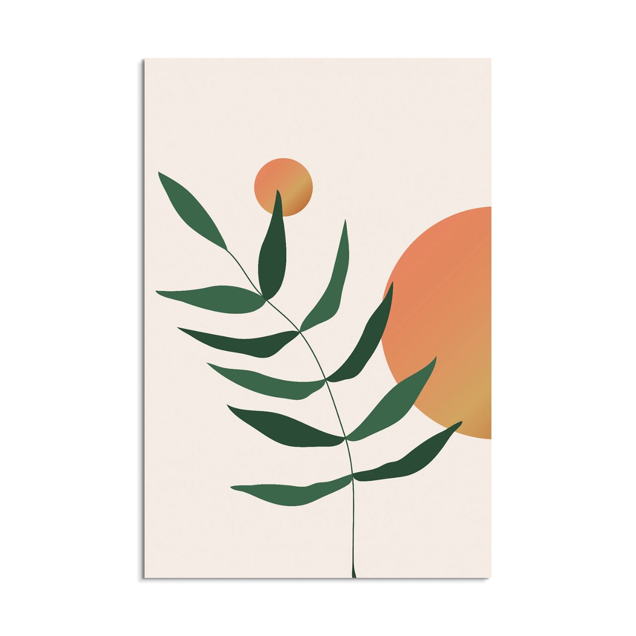 Minimalist Gradient Plant - 3