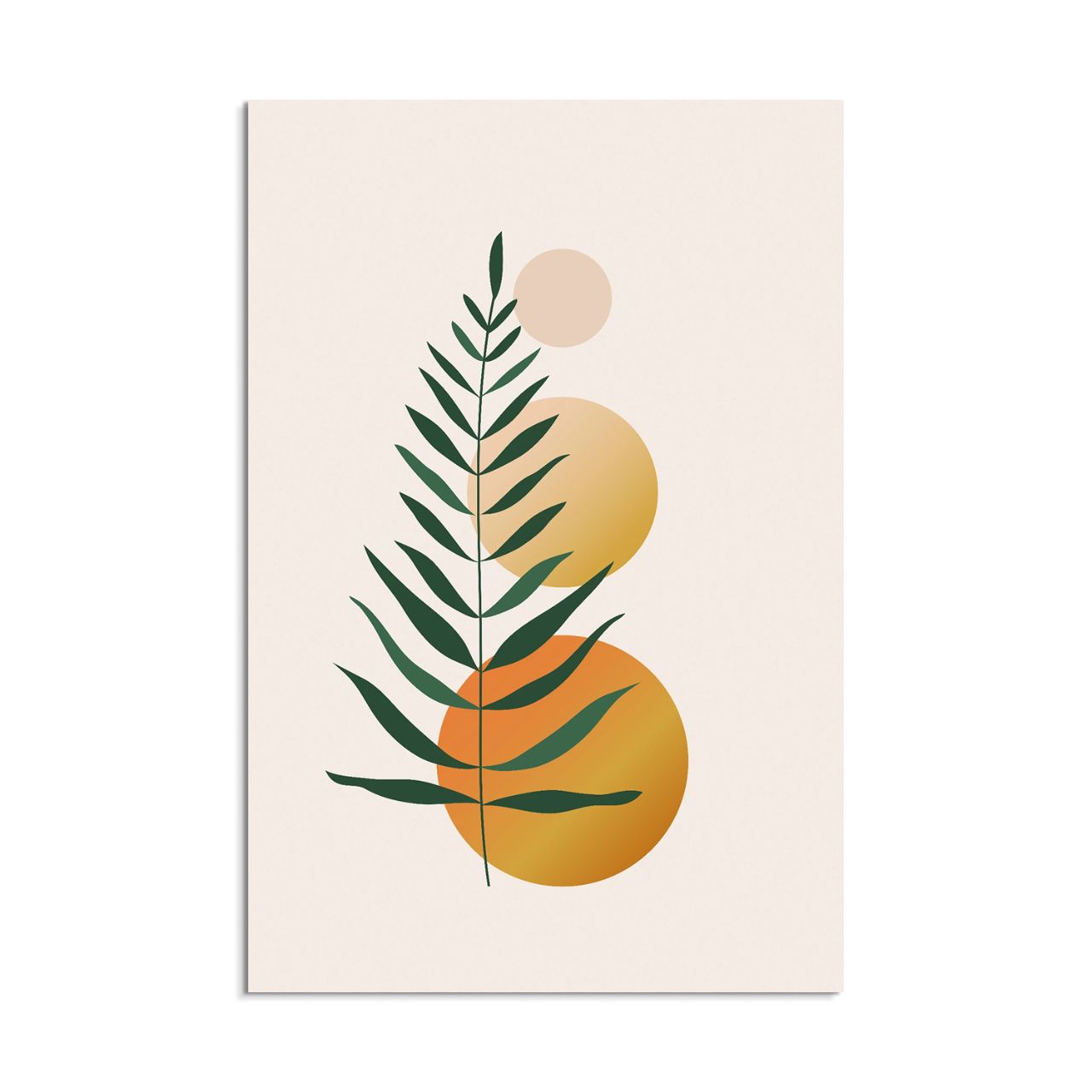 Minimalist Gradient Plant - 4
