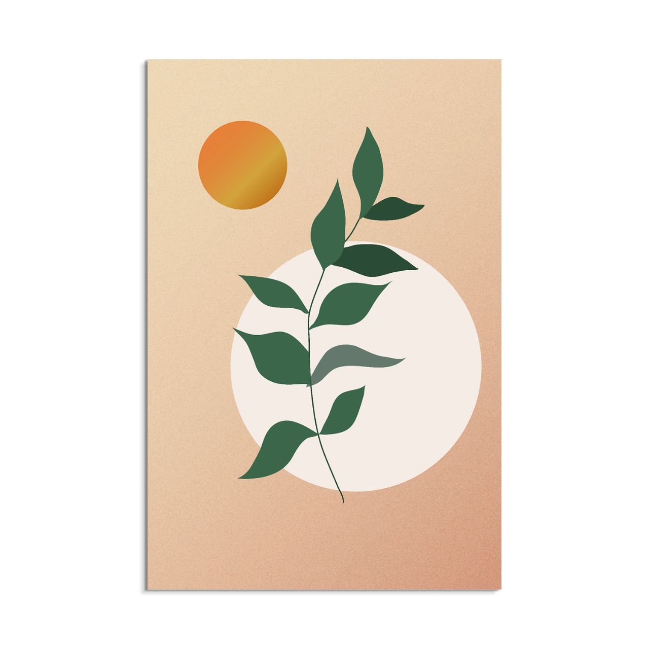 Minimalist Gradient Plant - 5