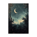 Crescent Moon Forest Night