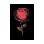 Radiant Wireframe Rose - 2