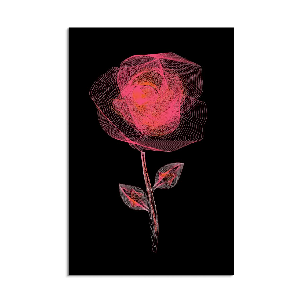 Radiant Wireframe Rose - 2