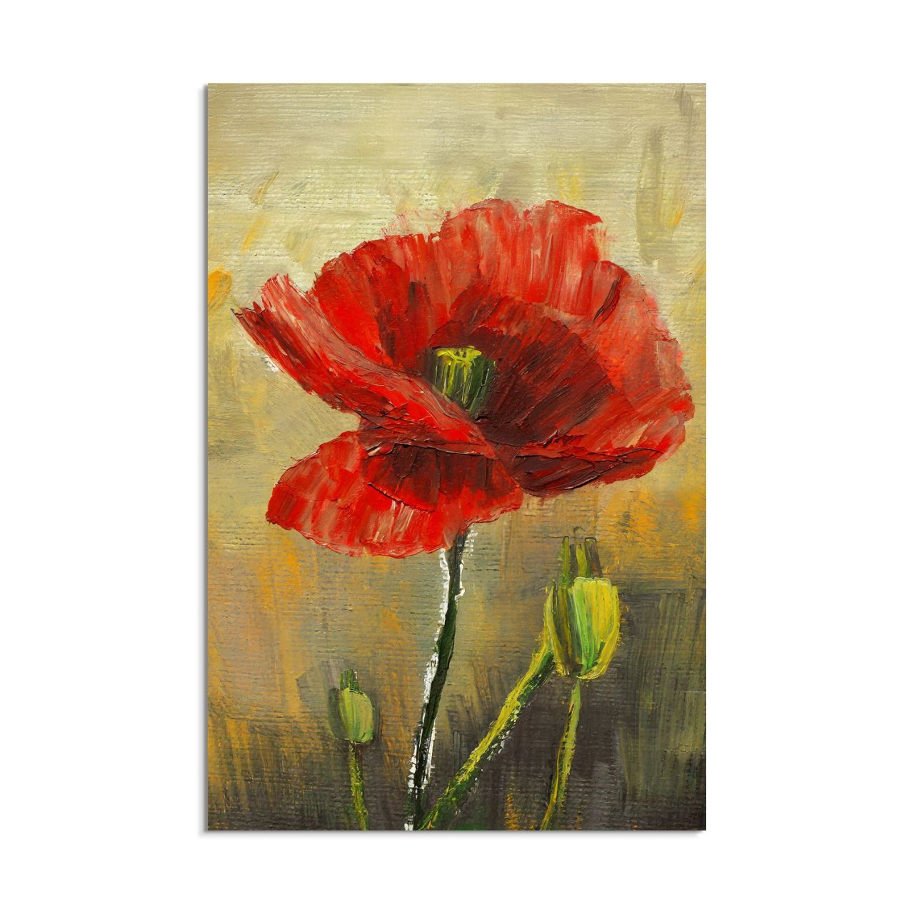 Textured Red Poppy - 2