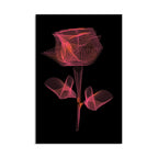 Radiant Wireframe Rose - 1