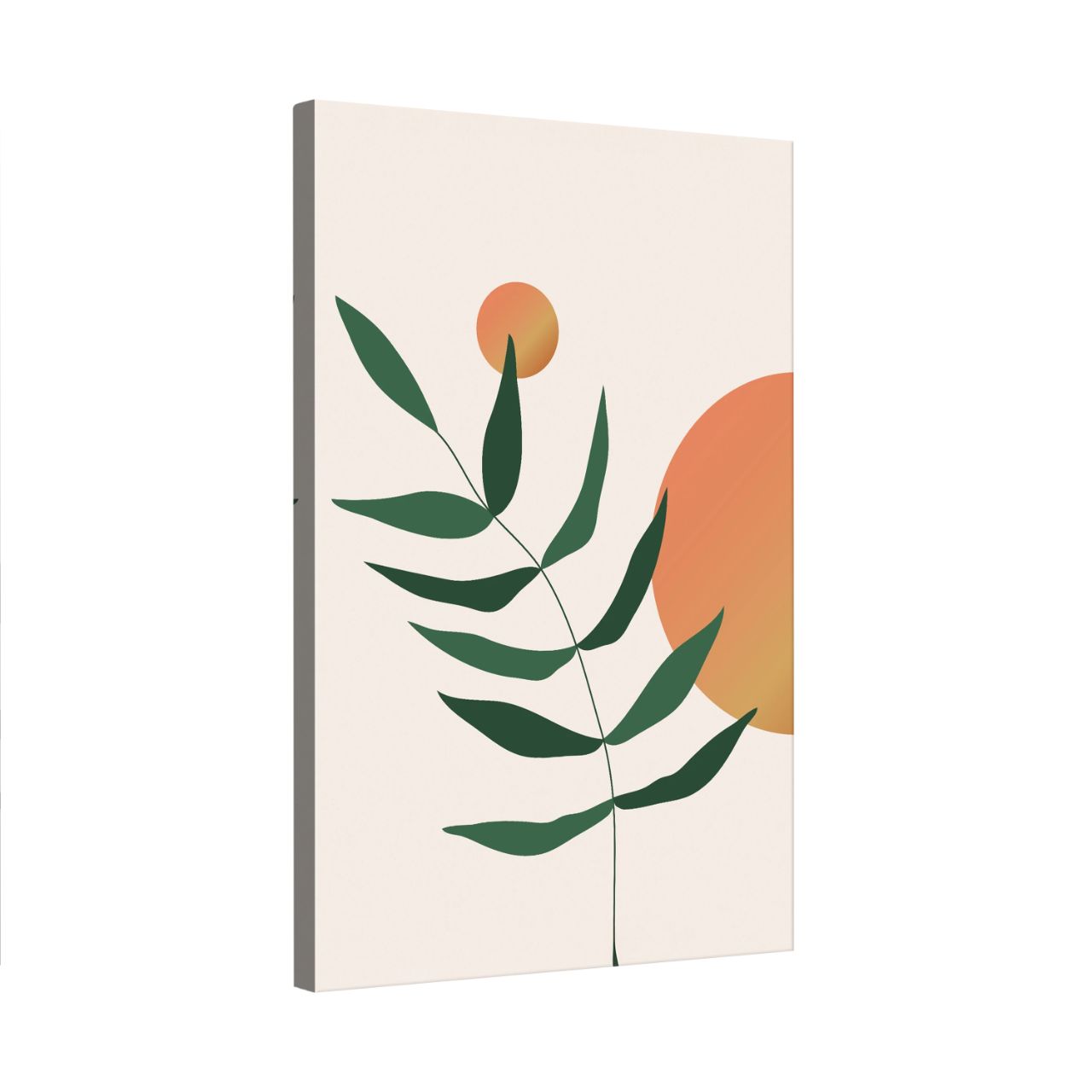 Minimalist Gradient Plant - 3