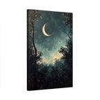 Crescent Moon Forest Night
