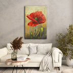 Textured Red Poppy - 2